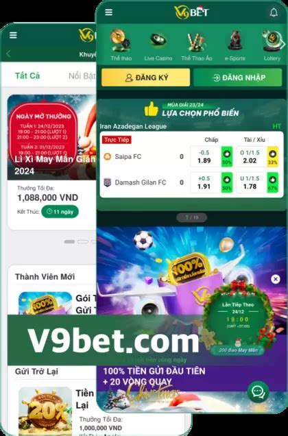 v9bet account delete